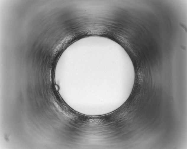 X0000100210686200806271704