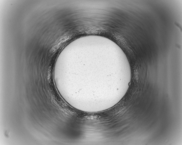 X0000100210687200806271704