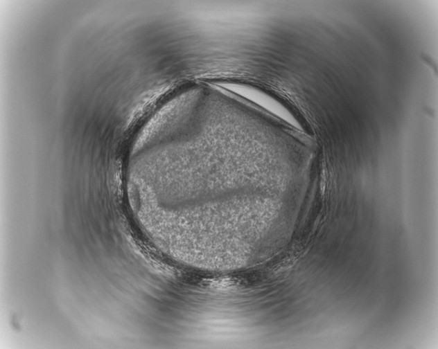 X0000100210688200806271704