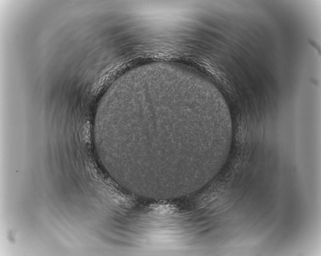 X0000100210689200806271704