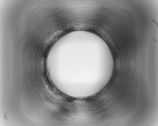 X0000100210690200806271704
