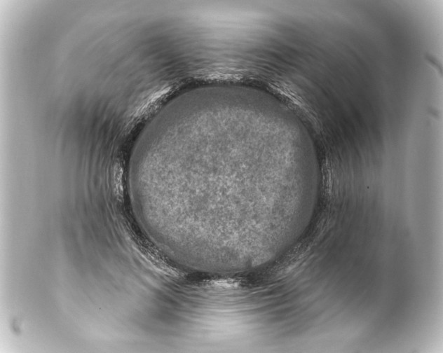 X0000100210692200806271704
