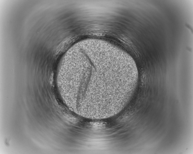 X0000100210693200806271704
