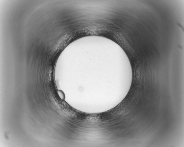 X0000100210694200806271704