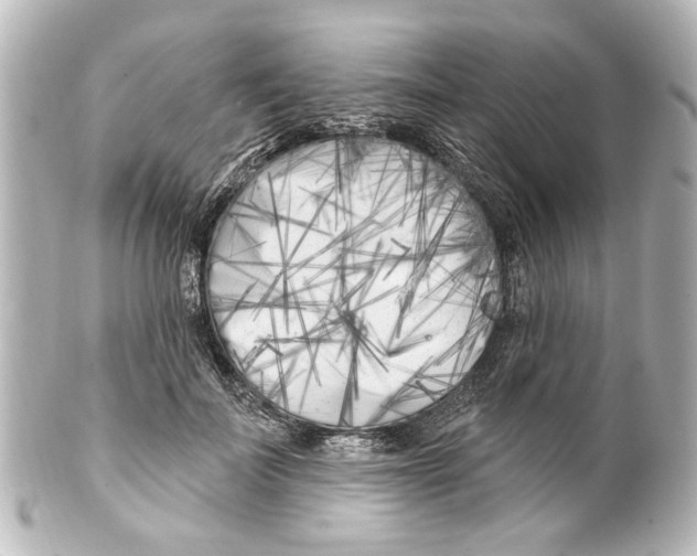 X0000100210699200806271704
