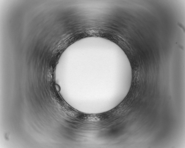 X0000100210702200806271704