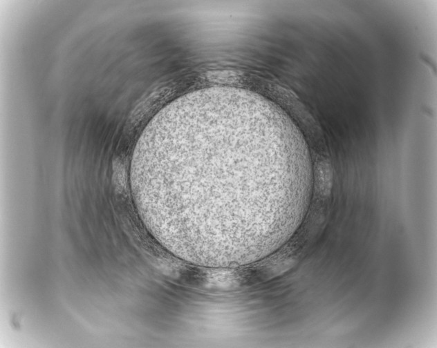 X0000100210705200806271704