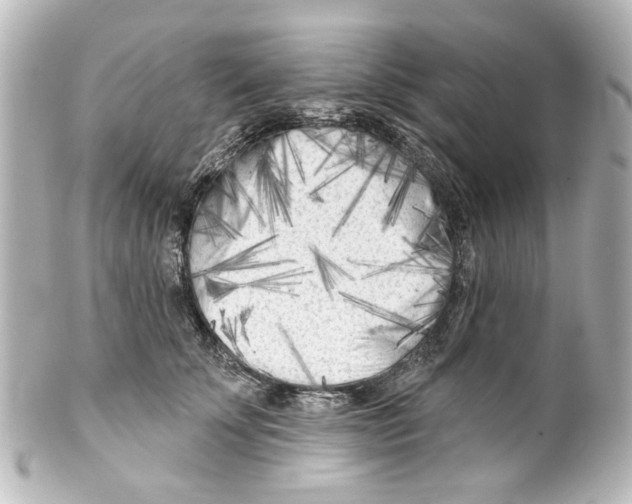 X0000100210707200806271704
