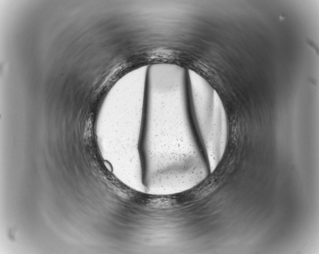 X0000100210708200806271704