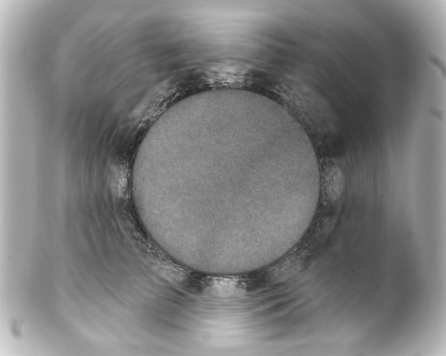 X0000100210709200806271704