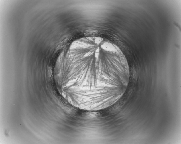 X0000100210711200806271704