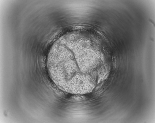 X0000100210712200806271704