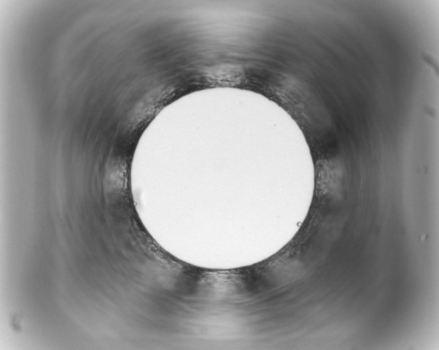 X0000100210713200806271704