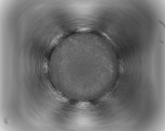 X0000100210716200806271704