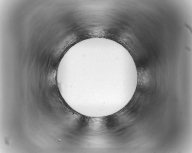 X0000100210717200806271704