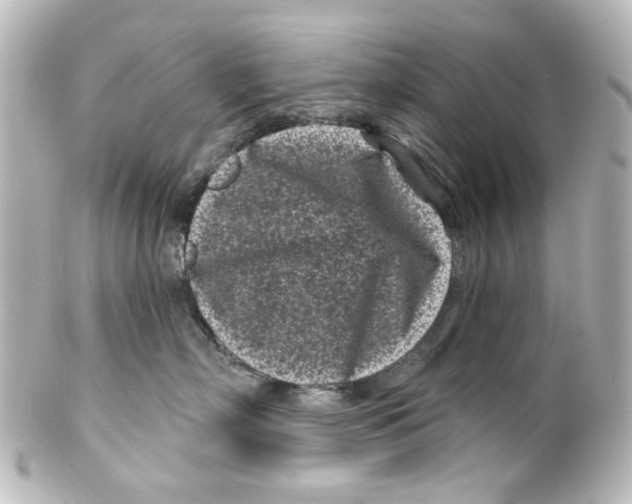 X0000100210718200806271704