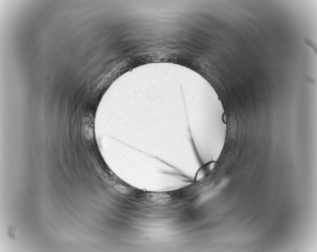X0000100210719200806271704