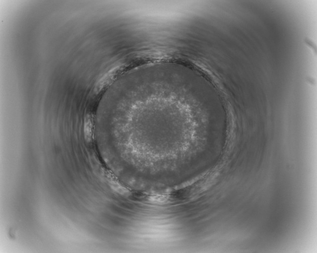 X0000100210720200806271704