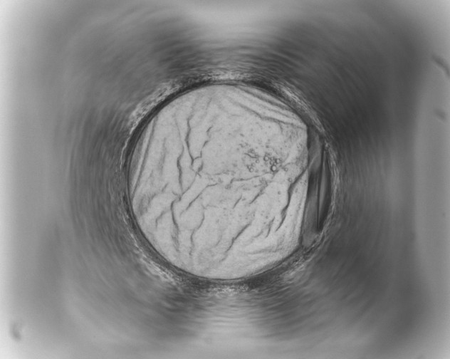 X0000100210721200806271703