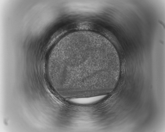 X0000100210722200806271703
