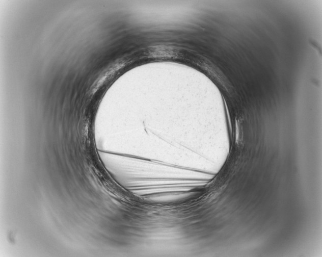 X0000100210723200806271703