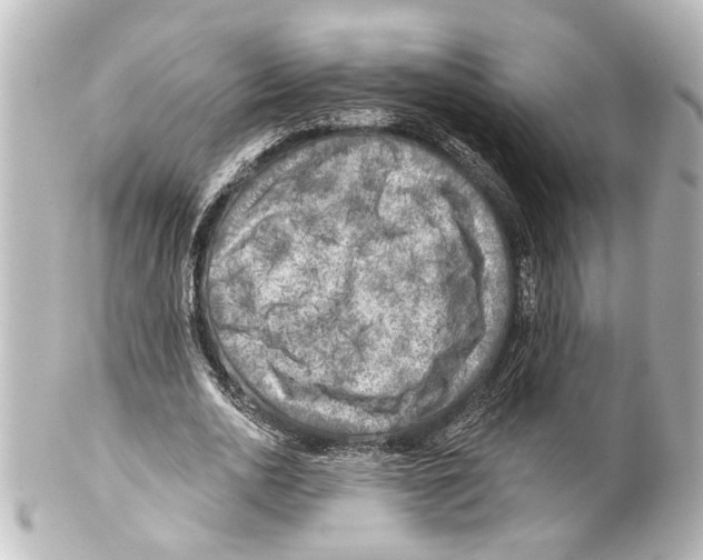 X0000100210726200806271703