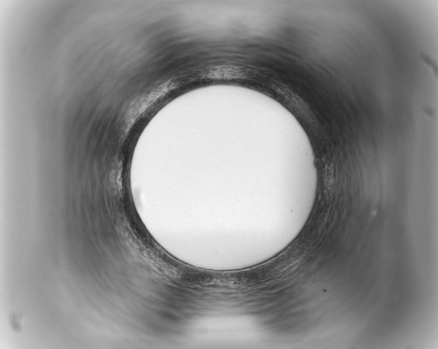 X0000100210727200806271703