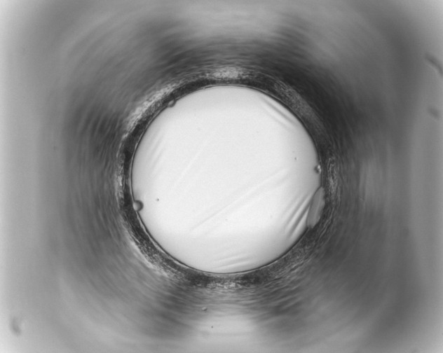 X0000100210728200806271703