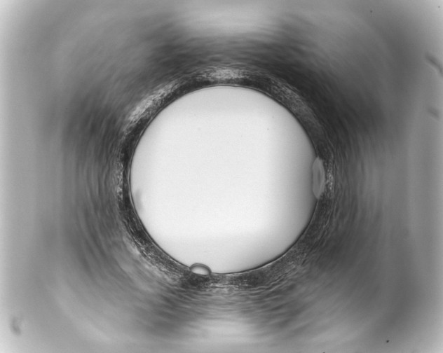 X0000100210732200806271703