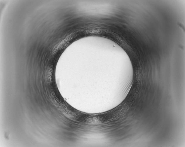 X0000100210735200806271703