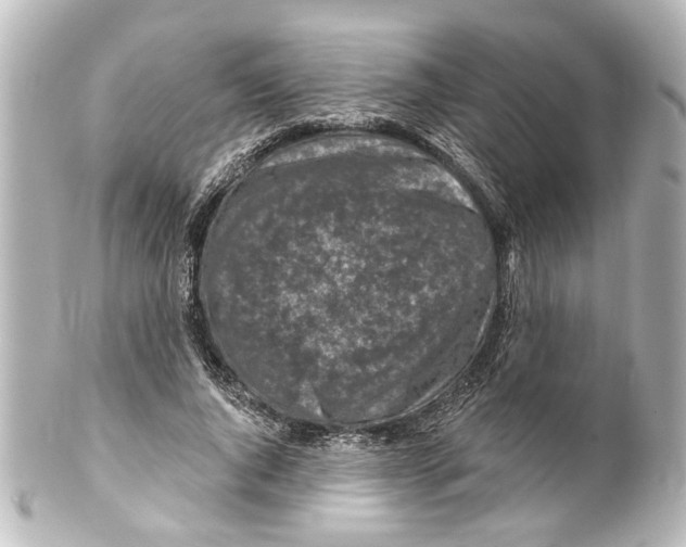 X0000100210736200806271703