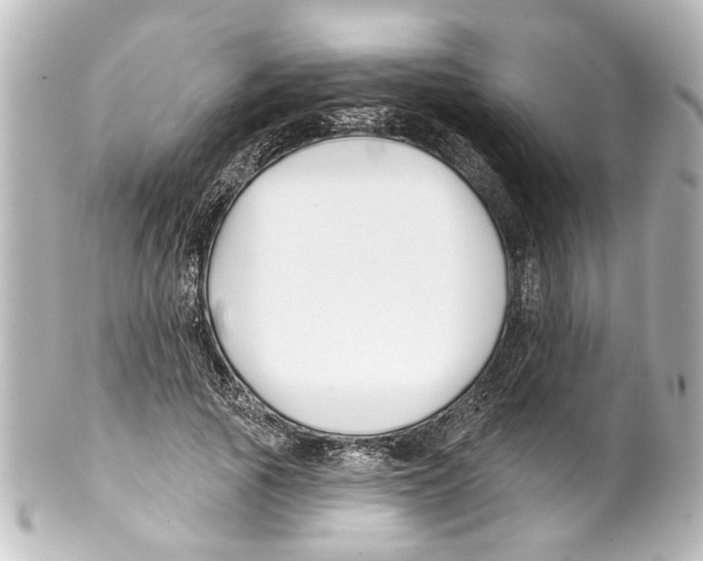 X0000100210737200806271703