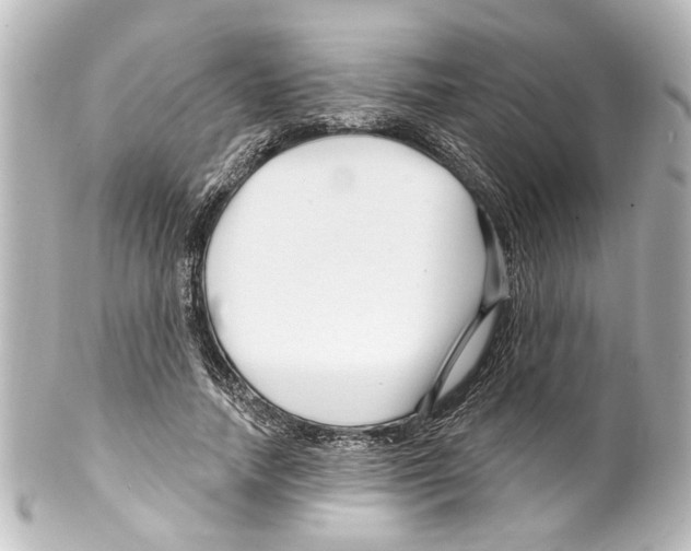 X0000100210738200806271704