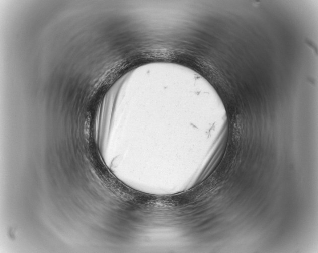 X0000100210739200806271704