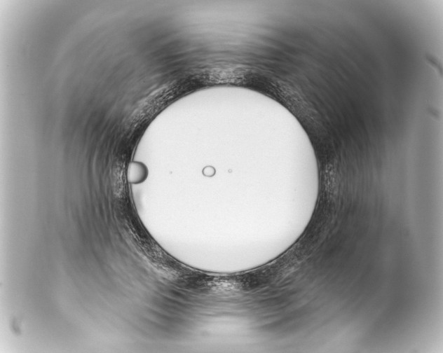 X0000100210741200806271704