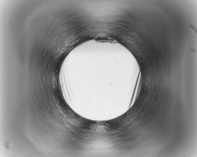 X0000100210743200806271704