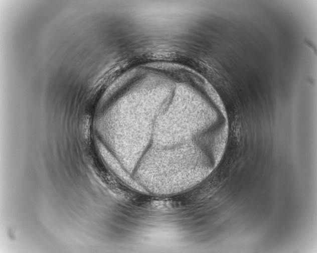 X0000100210744200806271704