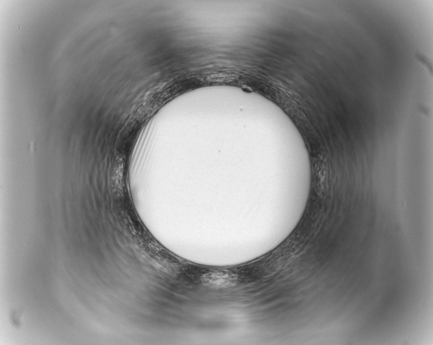 X0000100210745200806271704