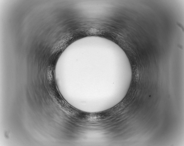 X0000100210746200806271704