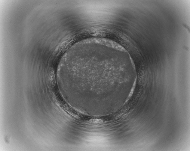 X0000100210748200806271704