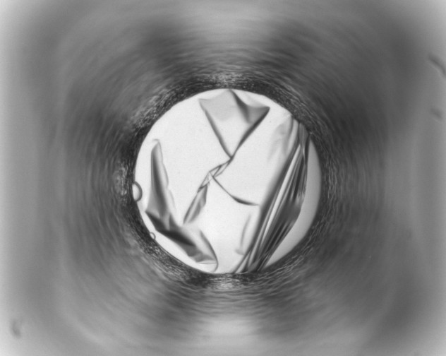 X0000100210750200806271704