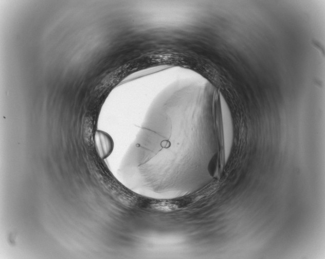 X0000100210754200806271704