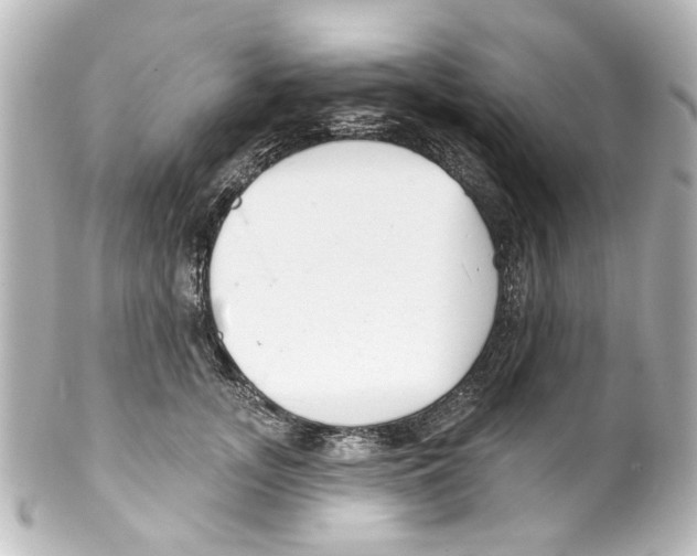 X0000100210755200806271704