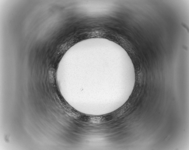 X0000100210757200806271704