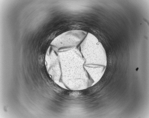 X0000100210759200806271704
