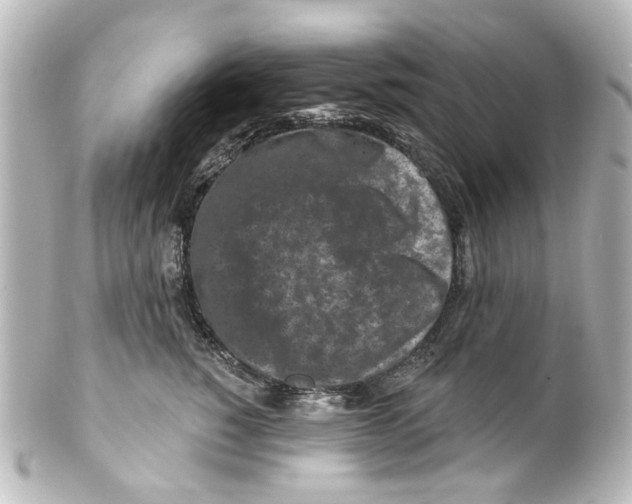 X0000100210760200806271704