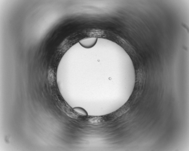 X0000100210761200806271704