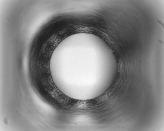 X0000100210764200806271704