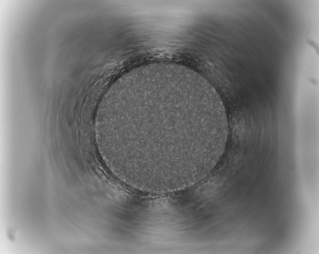 X0000100210769200806271703
