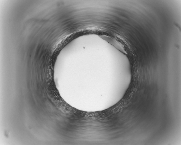 X0000100210776200806271703